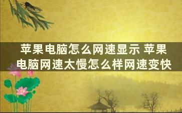 苹果电脑怎么网速显示 苹果电脑网速太慢怎么样网速变快